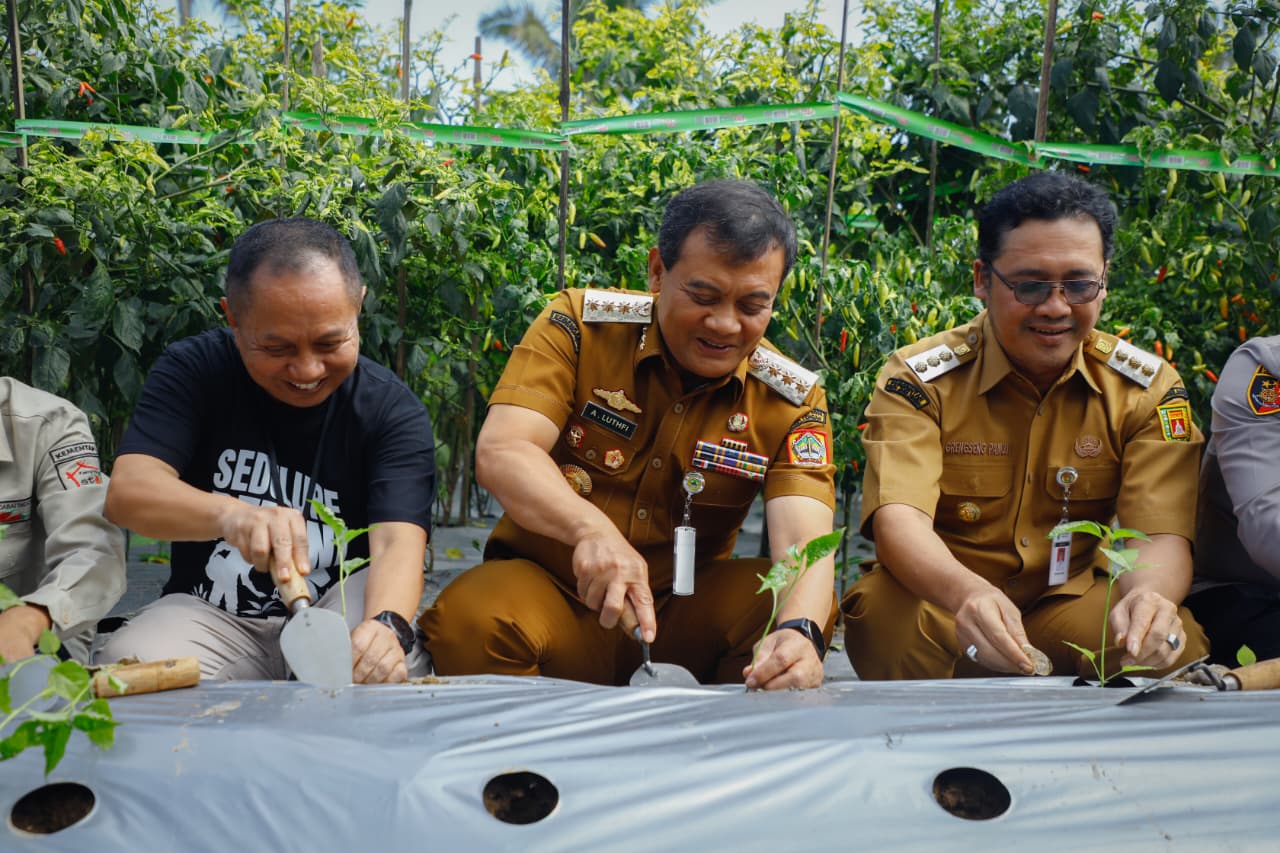 Antisipasi Kelangkaan Cabai di Jawa Tengah, Gubernur Janji akan Permudah Kredit bagi Petani 