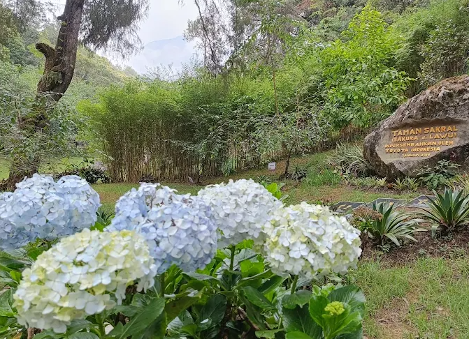 5 Taman Bunga di Jawa Tengah yang Warnanya Berubah Setiap Musim, Instagramable Banget!