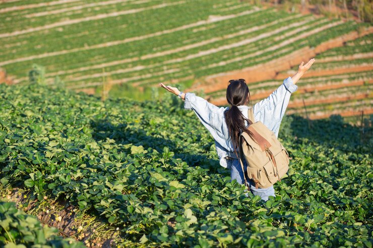 4 Agrowisata Terbaik di Tegal dengan Banyak Aktivitas Menarik