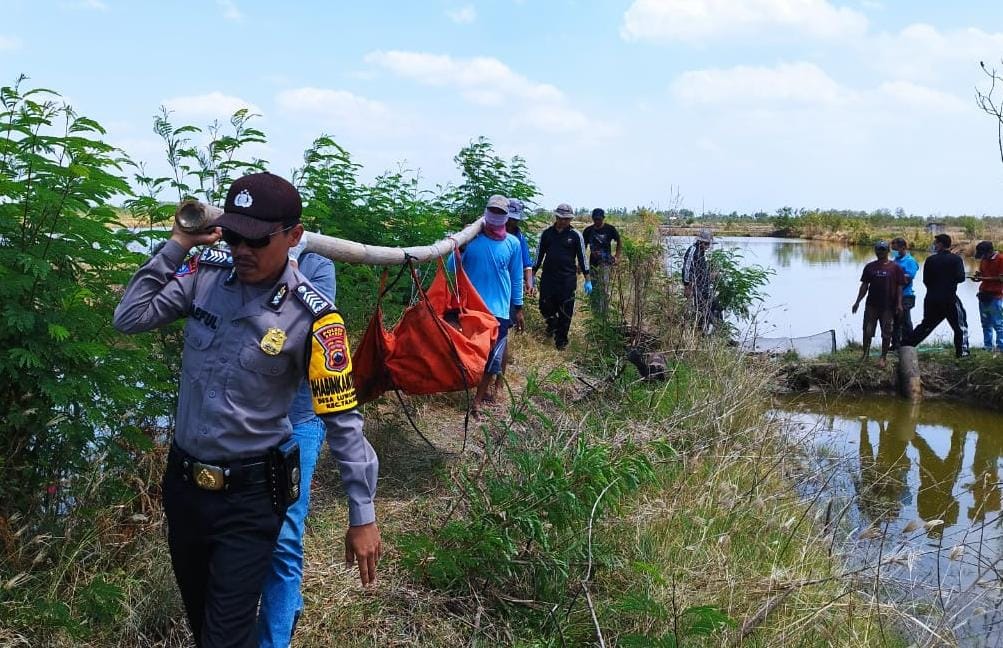 Mayat Pria Tanpa Identitas Gegerkan Warga Tanjung, Kondisinya Mengenaskan