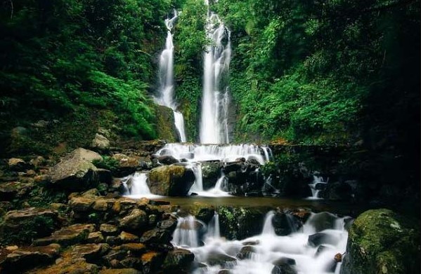 Wisata Curug Cilember Bogor, Tenyata Ada Taman Kupu-kupu yang Langka