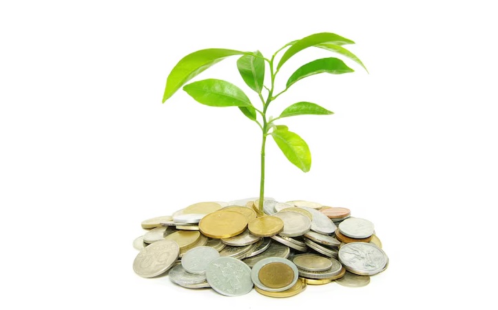 Cuma Modal Rp10 Ribu, Pilih Investasi Reksa Dana Pasar Uang atau Emas?