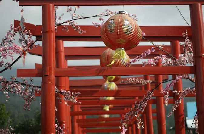 8 Wisata Jawa Tengah yang Mirip Jepang, Serasa Liburan ke Negeri Sakura