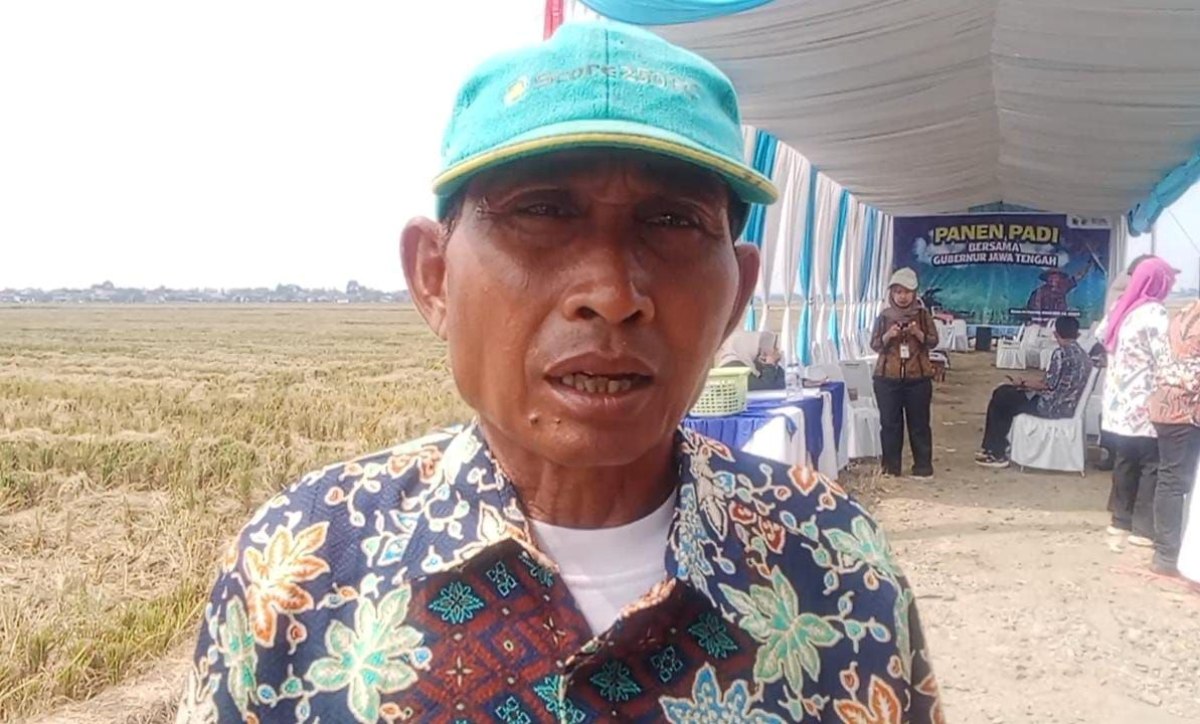 curhatan petani Pemalang ke Gubernur Dibalik Sukacita Panen Raya