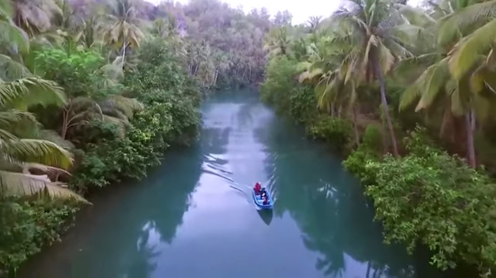 Ada Amazon di Indonesia? Ini Sungai Maron yang Indahnya Memanjakan Mata
