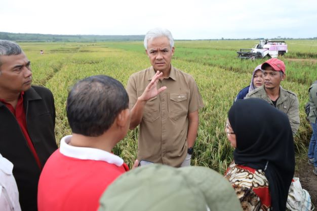 Panen Padi Dimulai, Ganjar Targetkan Harga Beras di Jateng Stabil dalam Sepekan