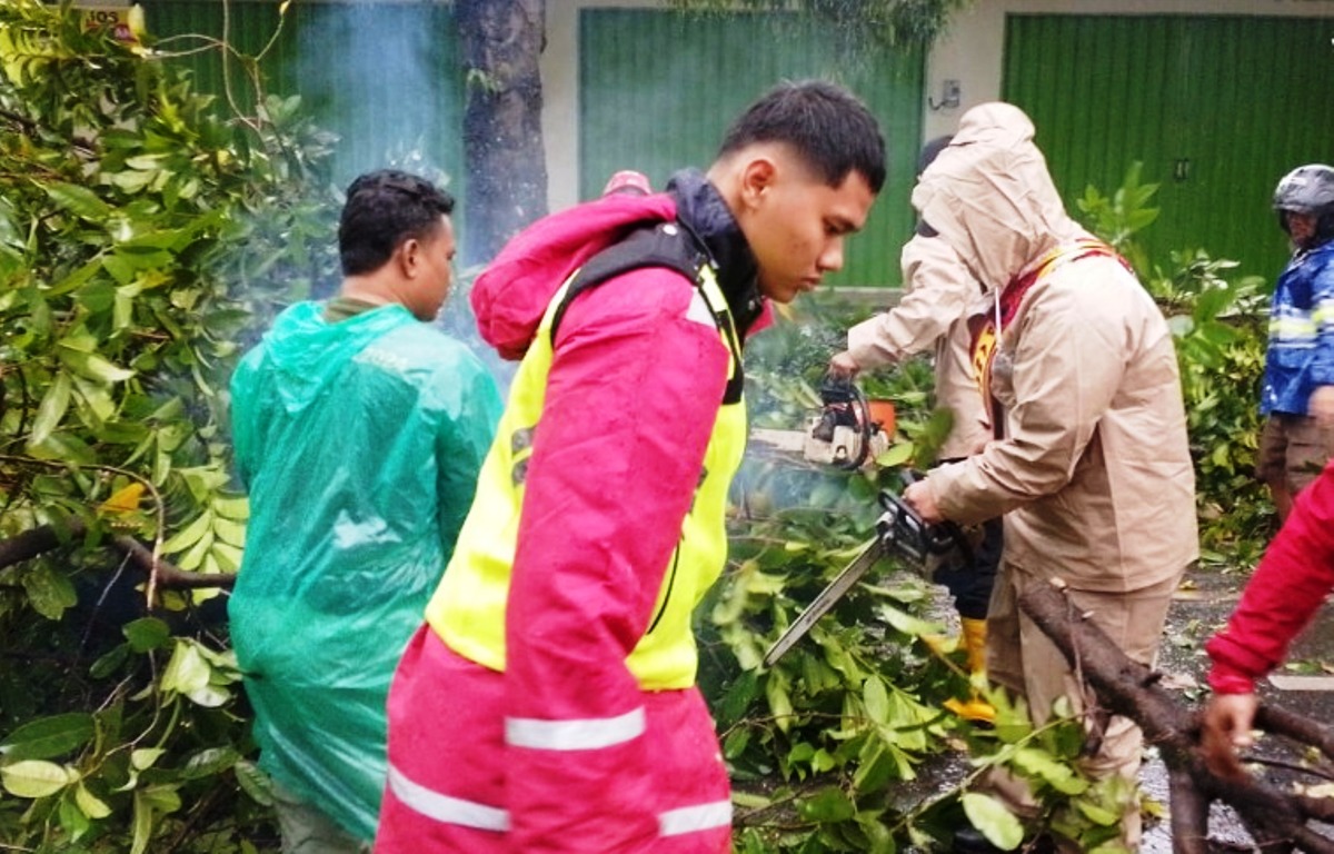 Lalu Lintas Jalan Juanda Slawi Tegal Macet Akibat Pohon Tumbang