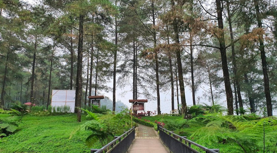 Rekomendasi Tempat Wisata Sejuk dan Sepi di Sekitar Brebes, Cocok buat Kaum Introvert!