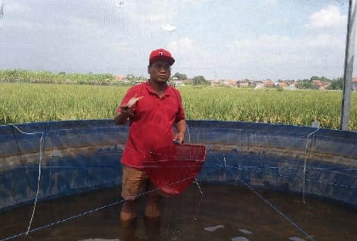 Budidaya Ikan di Aliran Sungai Gung, Pemuda Kabupaten Tegal Kini Kembangkan Sistem Bioflok