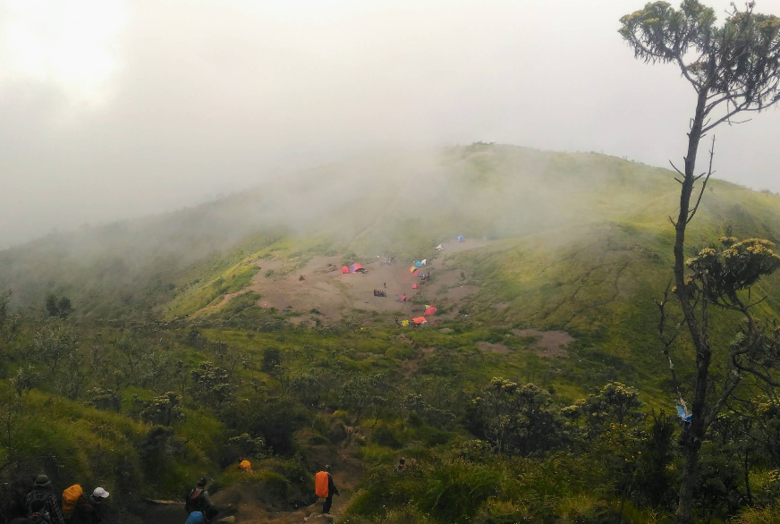 Eksplorasi Alam Pegunungan Merbabu, Pesona Gunung dan Destinasi Sekitarnya yang Menakjubkan