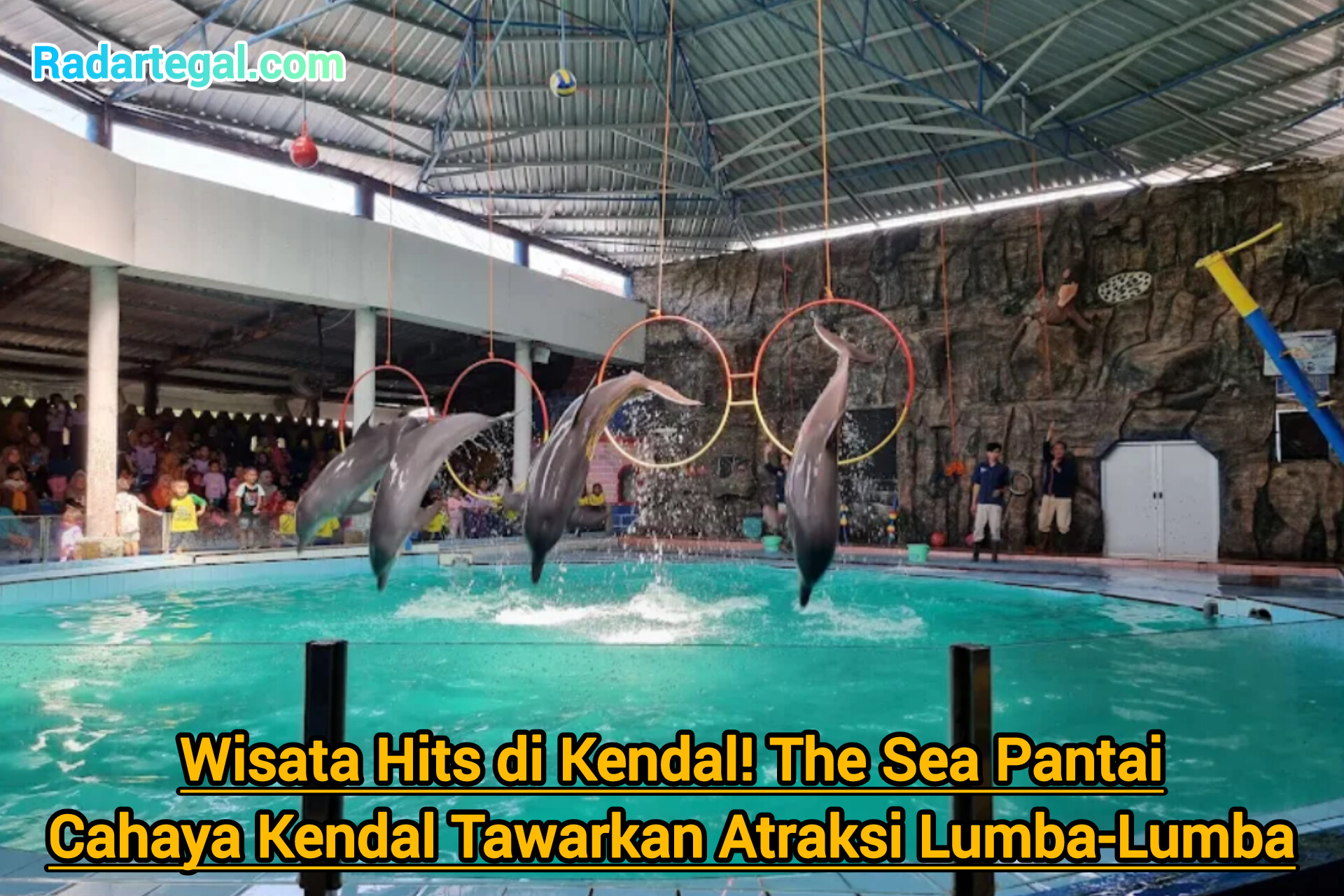 Wisata Hits di Kendal! The Sea Pantai Cahaya Kendal Tawarkan Atraksi Lumba-Lumba hingga Sunset Romantis