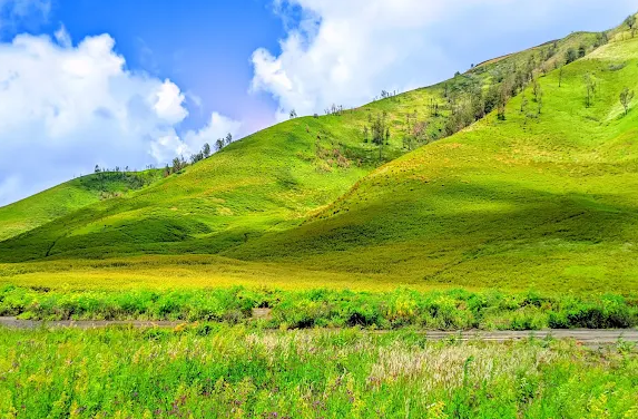 Pesona Bukit Teletubbies Bromo, Spot Instagramable di Kaki Gunung Bromo ala Swiss