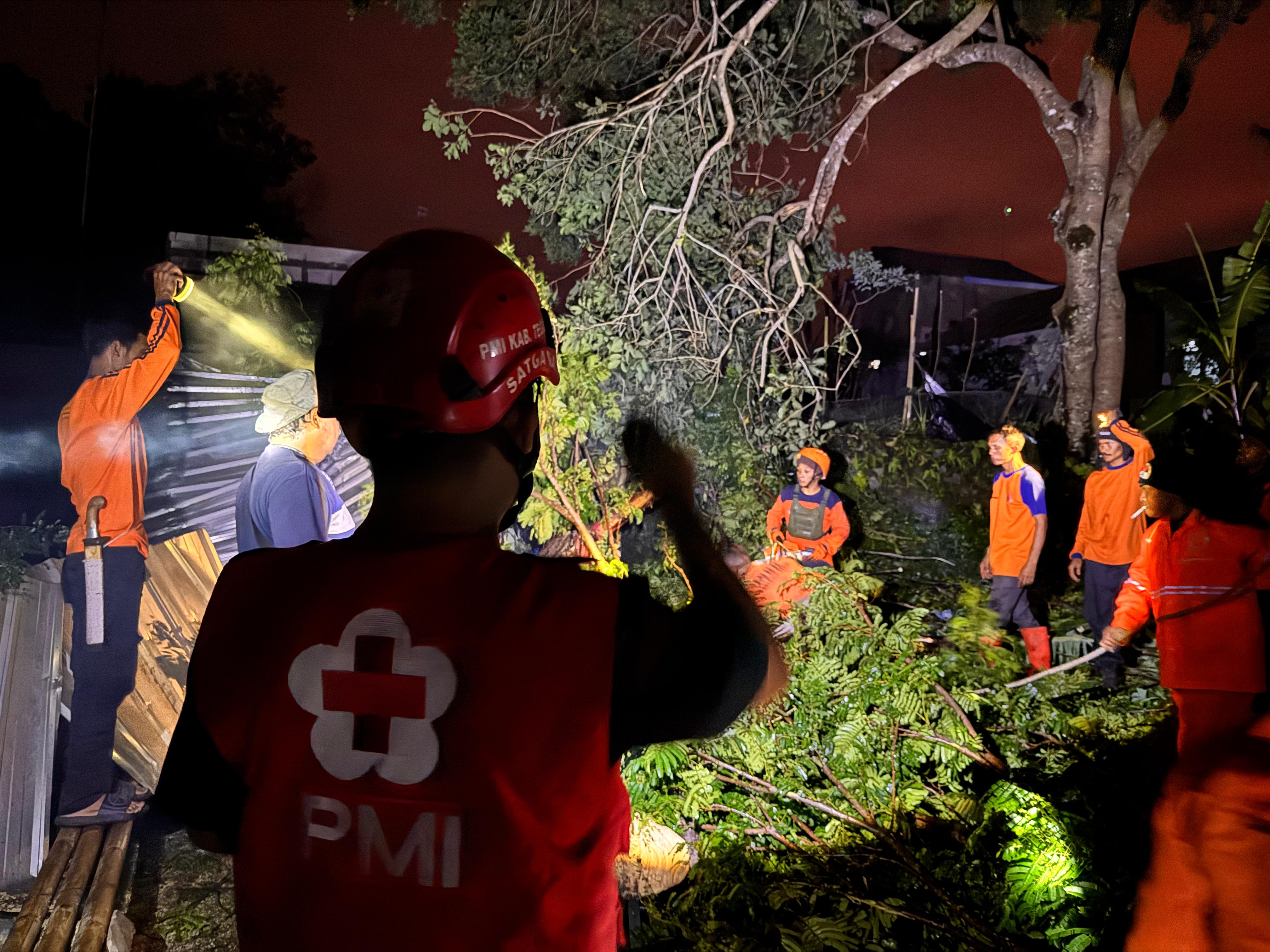 Diterjang Angin Kencang, 48 Rumah di Tegal Rusak Ringan Hingga Sedang