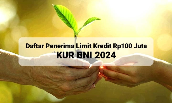 Daftar Penerima Limit Kredit Rp100 Juta KUR BNI 2024, Apakah Anda Salah ...