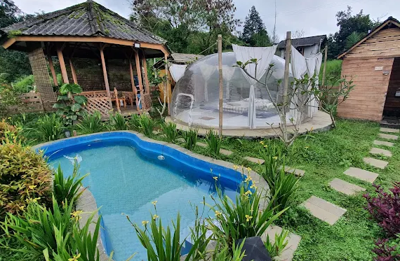 Glamping ala Jepang di Bogor, Tema Minimalis di Tengah Alam