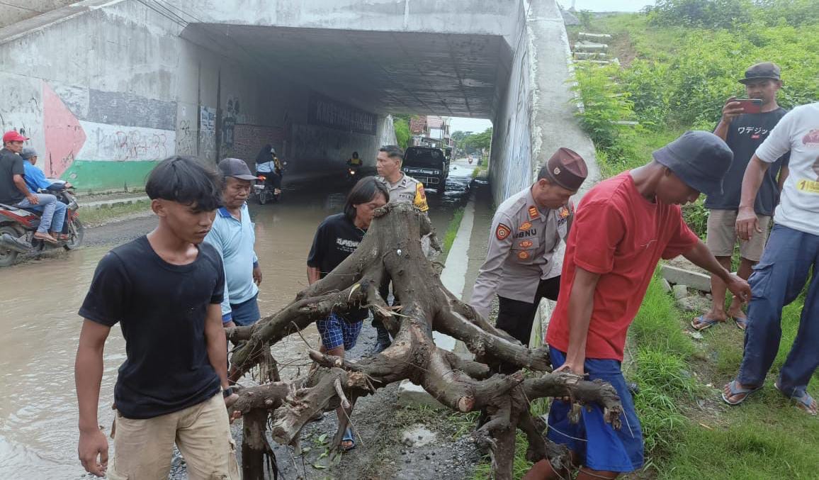 Protes Jalan Rusak, Warga Tanam Pisang di Bawah Kolong Tol Brebes