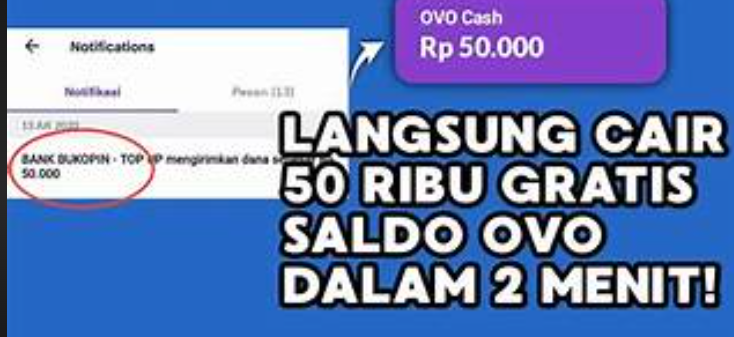 Cuma Modal Login Dapatkan Saldo OVO Rp50.000, Begini Caranya