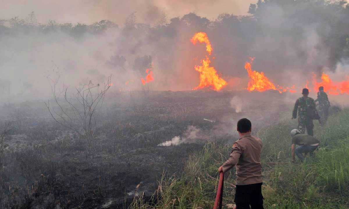 Lahan 8.000 Meter Persegi di Tarub Tegal Terbakar, Warga dan Petugas Gercep Lakukan Ini