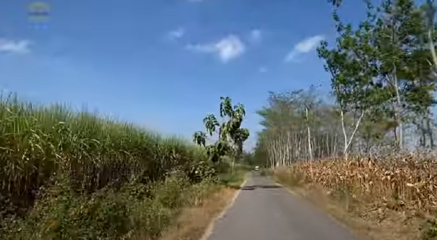 Kampung Terpencil di Kabupaten Bojonegoro Hanya Dihuni 9 KK, Berada di Tengah Hutan Tandus dan Makmur