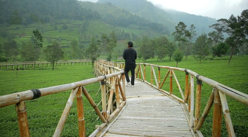 Agrowisata dan Rekreasi di Wonosobo yang Cocok Buat Keluarga