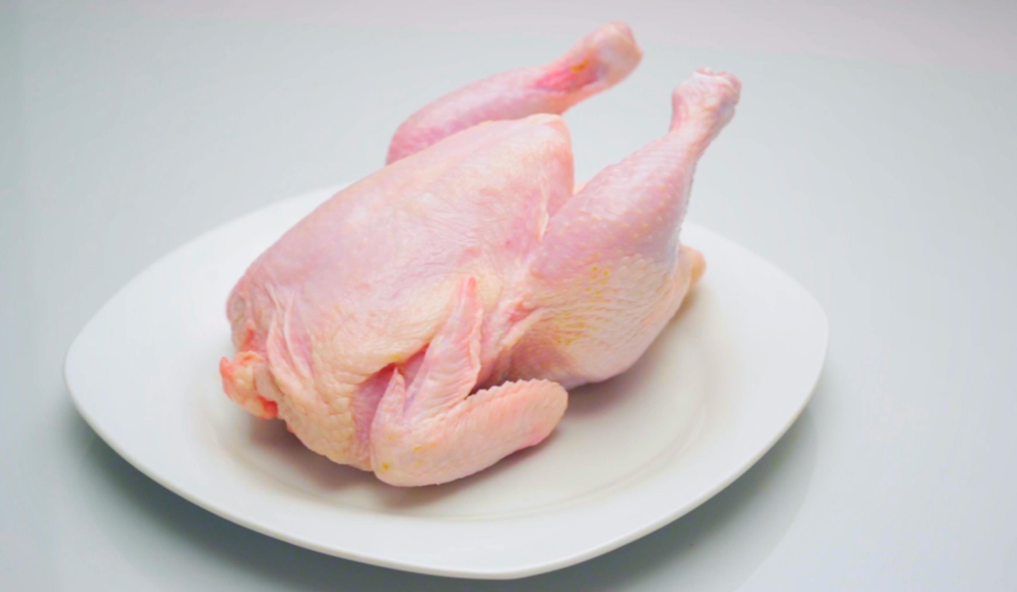 Mitos Brutu Ayam Bikin Bodoh? Ini Faktanya yang Mengejutkan!