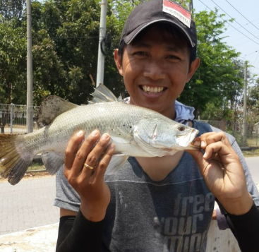 Hobi Mancing? Wajib Coba 4 Spot Mancing Terbaik di Tegal Ini, Dijamin Dapat Ikan Kakap Melimpah