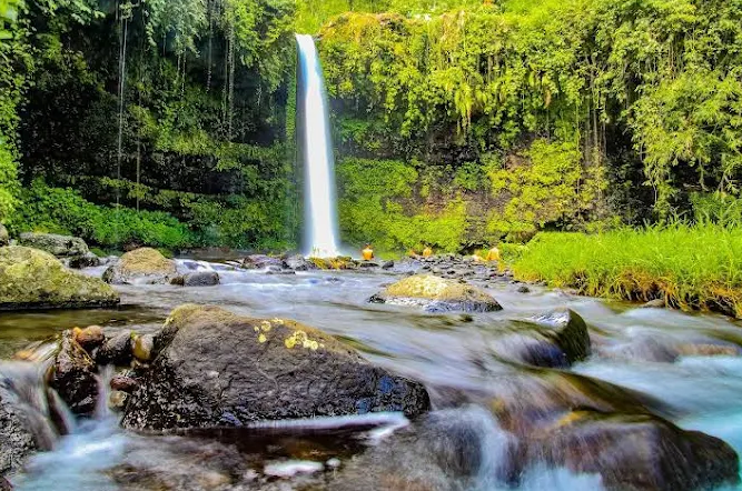 10 Wisata Murah di Purwokerto 2025, Cocok untuk Liburan Budget Rendah