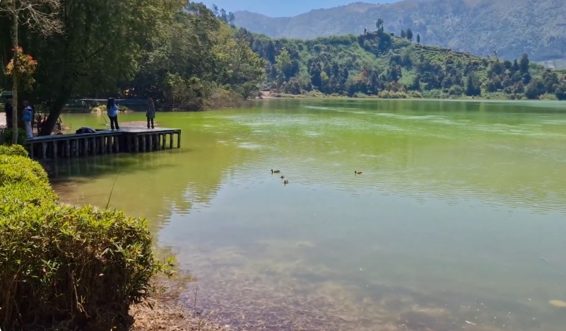 5 Alasan Telaga Warna di Dieng Wajib Dikunjungi Setidaknya Sekali