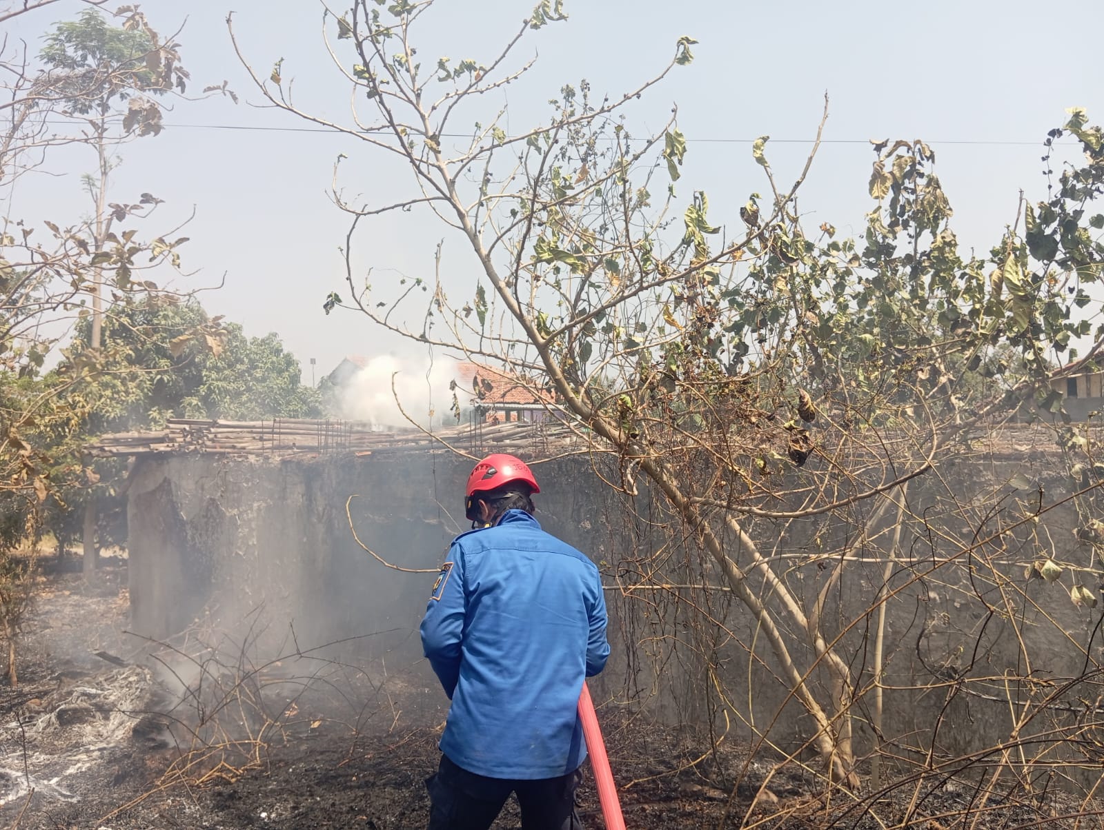 Dua Jam Berselang, Dua Lahan di Kabupaten Tegal Terbakar