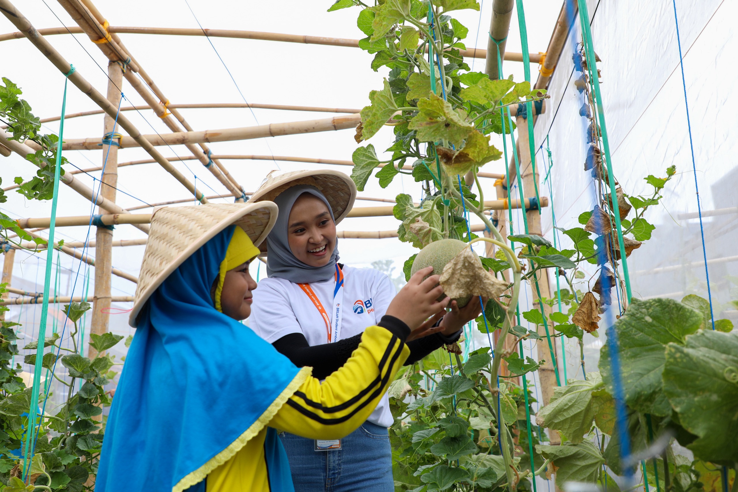 CSR BRI Mendapat Pengakuan Dunia, 2 Award Internasional Diboyong Sekaligus 
