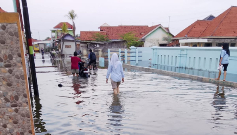Banjir Rob Kembali Rendam Ribuan Rumah di Prapag Lor-Losari Brebes, 2.100 KK Terdampak