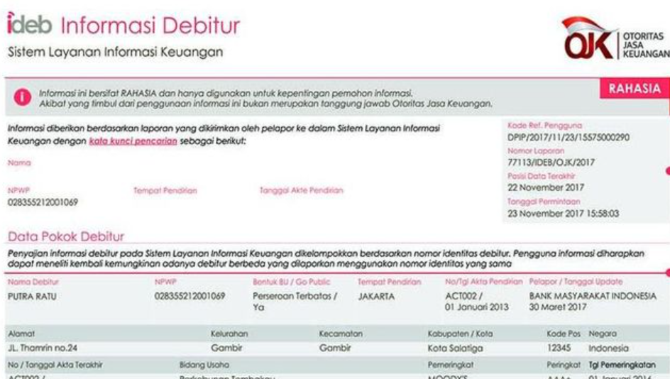 BI Checking Jelek? Ini Cara Pemutihan Nama di SLIK OJK dalam 7 Hari Tanpa Ribet!