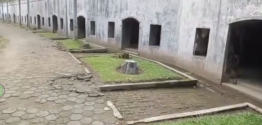 Bukan Cuma Nusakambangan! Rekomendasi 6 Tempat Seru di Cilacap yang Bikin Kamu Pingin Balik Lagi