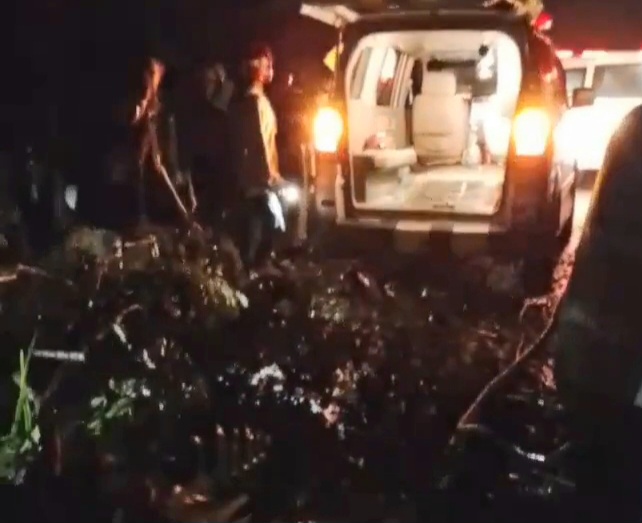 Tragis! Pasutri di Pemalang Tewas Tertimpa Pohon Tumbang