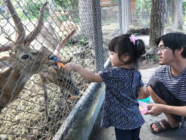 6 Mini Zoo Populer di Jawa Tengah, Ajak Anak Kenali Satwa Lebih Jauh