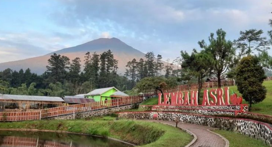 Segera Kunjungi! 7 Destinasi Wisata di Kaki Gunung Slamet yang Bisa Kamu Jelajahi