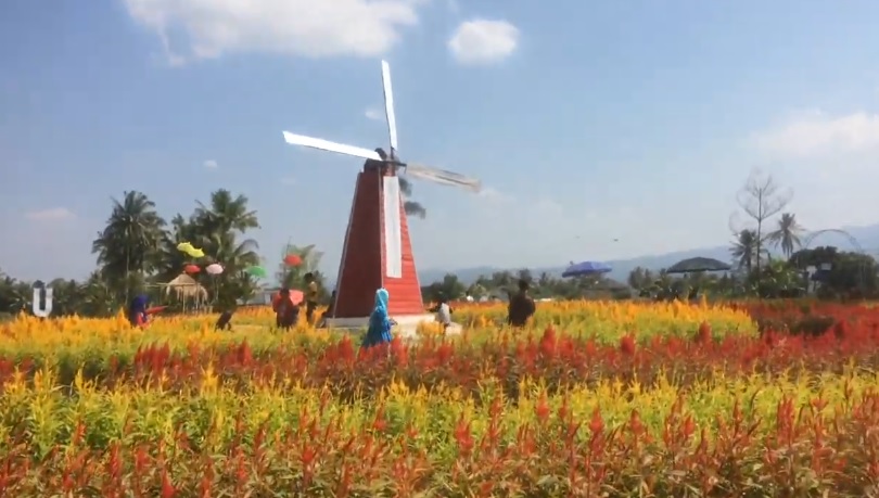 5 Spot Foto di Magelang yang Temanya Unik, Ada Kebun Bunga Ala Belanda
