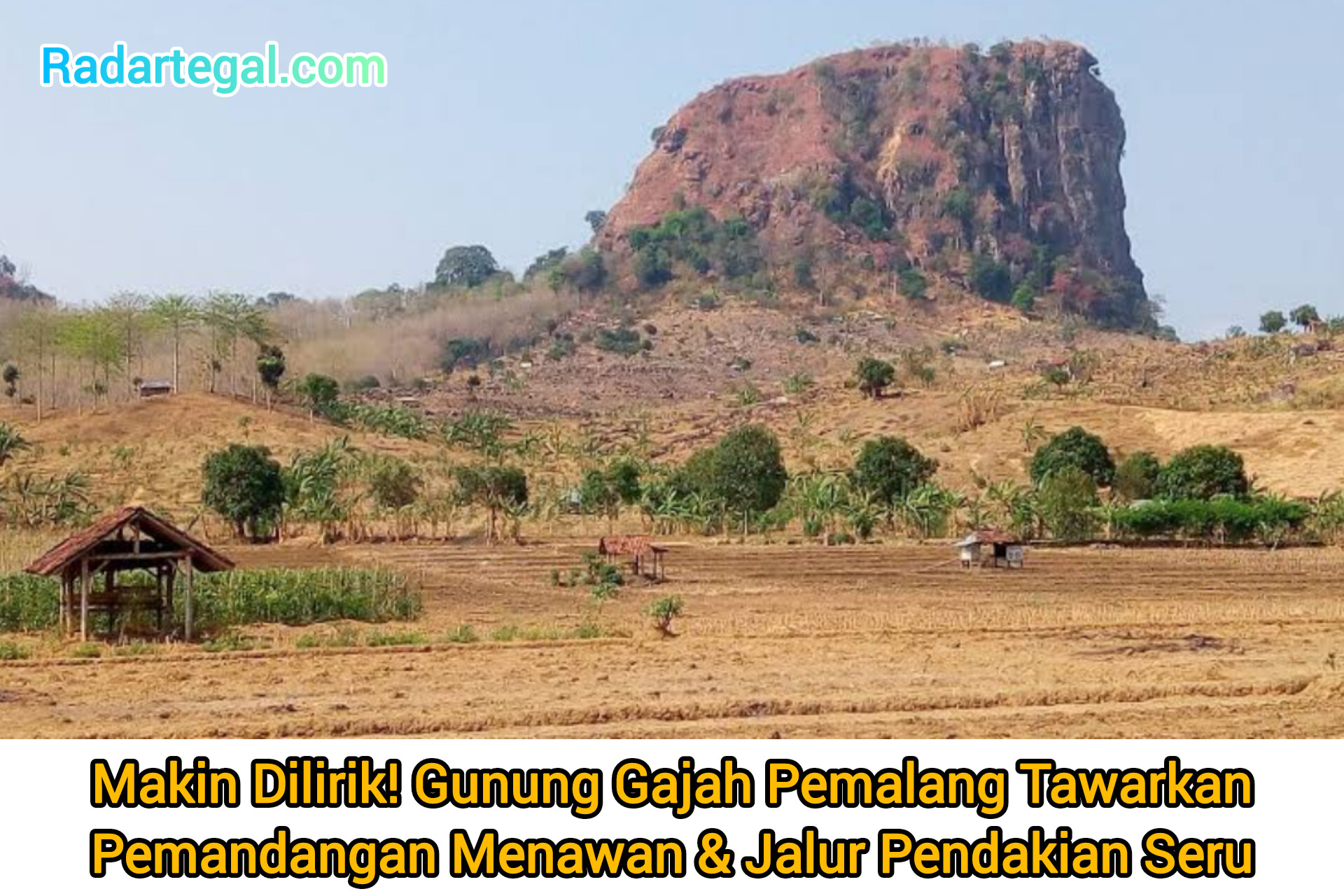 Makin Dilirik! Gunung Gajah Pemalang Tawarkan Pemandangan Menawan & Jalur Pendakian Seru
