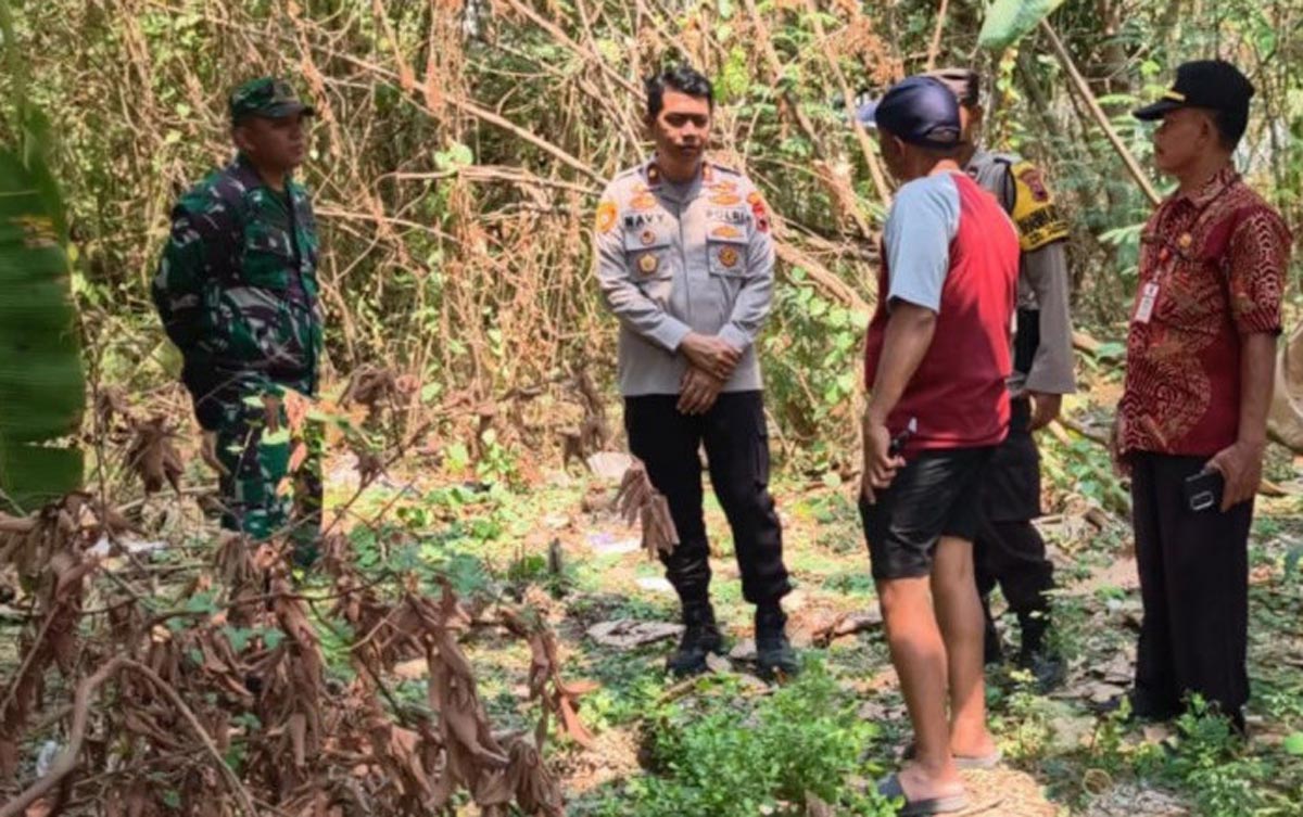 Geger Penemuan Bayi di Pekarangan Kosong Tlogomulyo Semarang, Polisi Telusuri CCTV