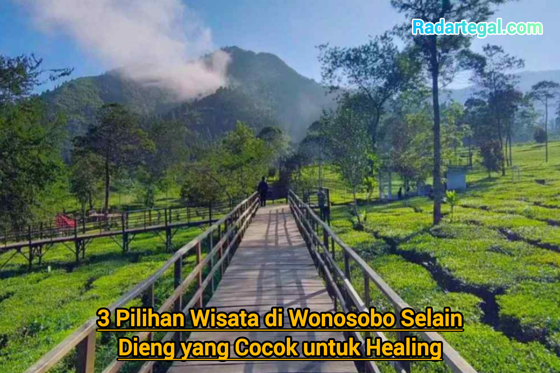3 Pilihan Wisata di Wonosobo Selain Dieng yang Cocok untuk Healing