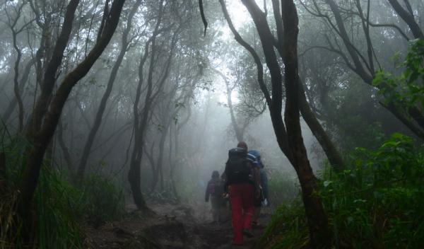 Mitos Pasar Setan Gunung Slamet Via Bambangan, dari Erupsi hingga Orang Hilang Bergantian