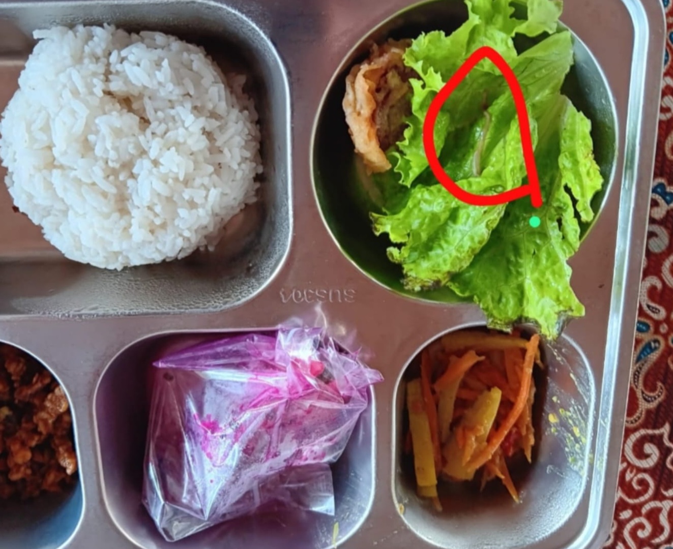 Video Menu MBG di Pemalang Viral! Diduga Ada Hewan Kecil yang Bergerak dalam Makanan