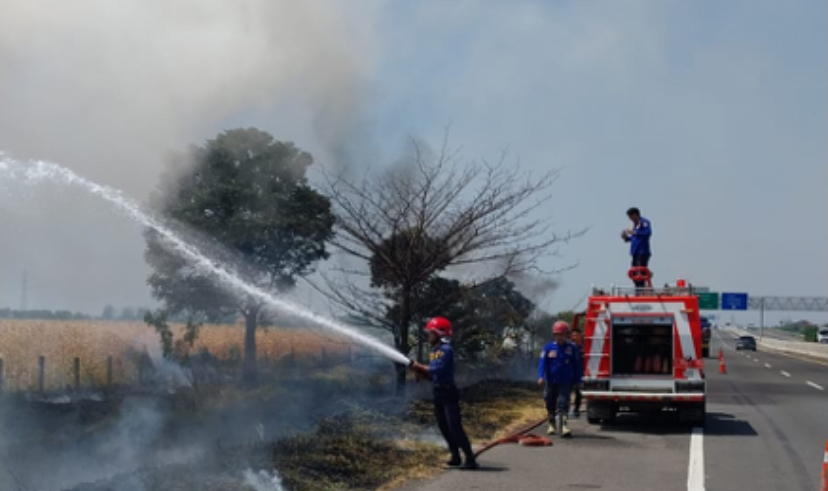 Lahan di Samping Jalan Tol Pejagan-Pemalang Terbakar, Petugas Buru-buru Padamkan