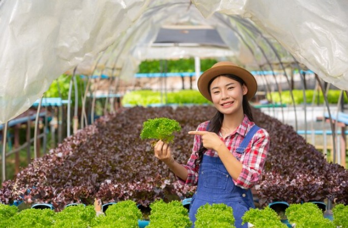 4 Agrowisata di Pemalang yang Mengesankan dan Edukatif