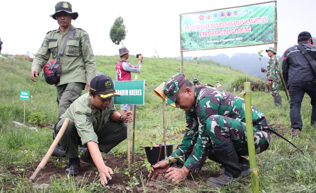 Lewat Gorong-gorong 'Tangan Tuhan', Dandim Ajak Warga Buat Rehabilitasi Hutan Lindung