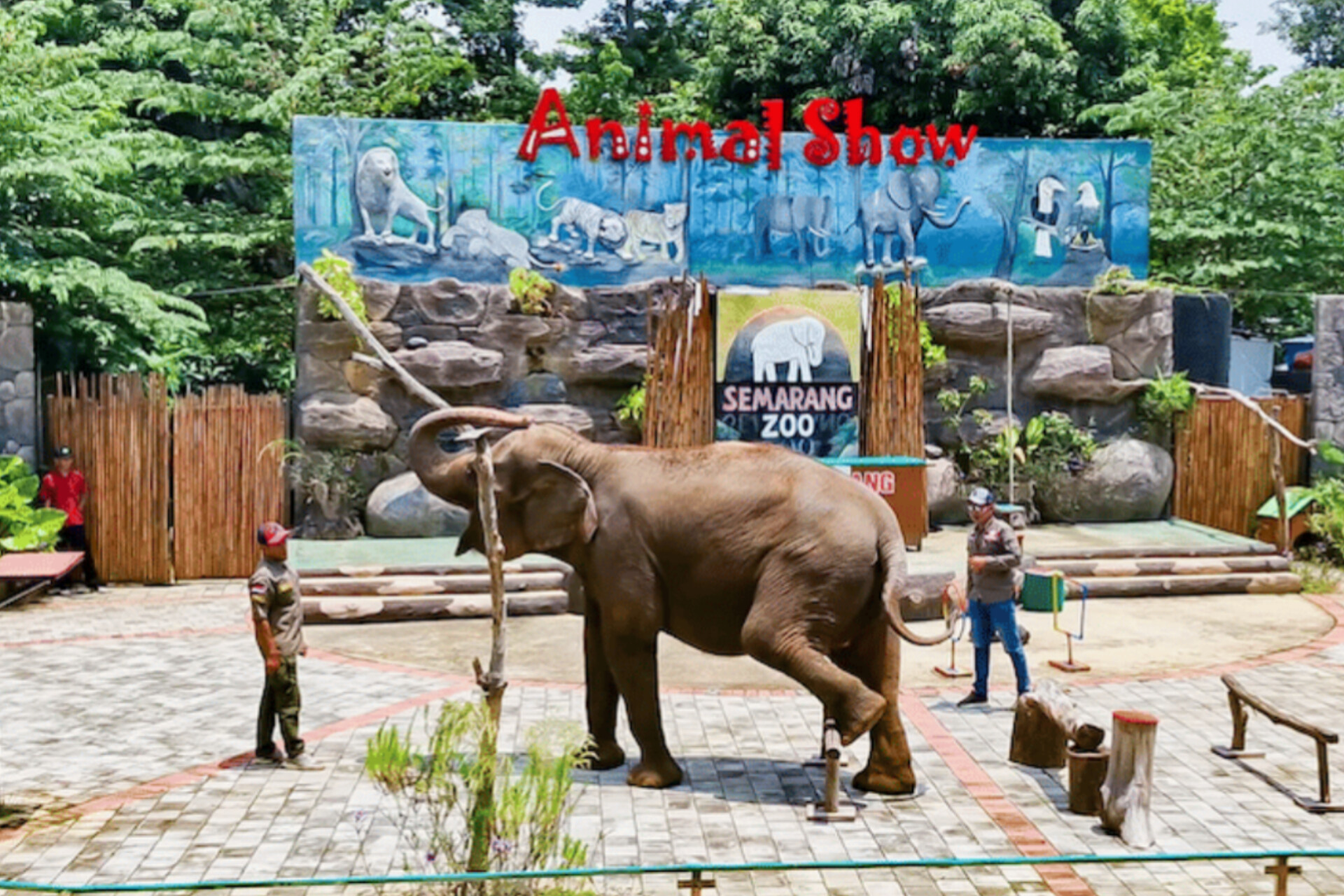 8 Wahana Seru di Semarang Zoo, Lengkap dengan Lokasi dan Harga Tiket Terbaru 2025