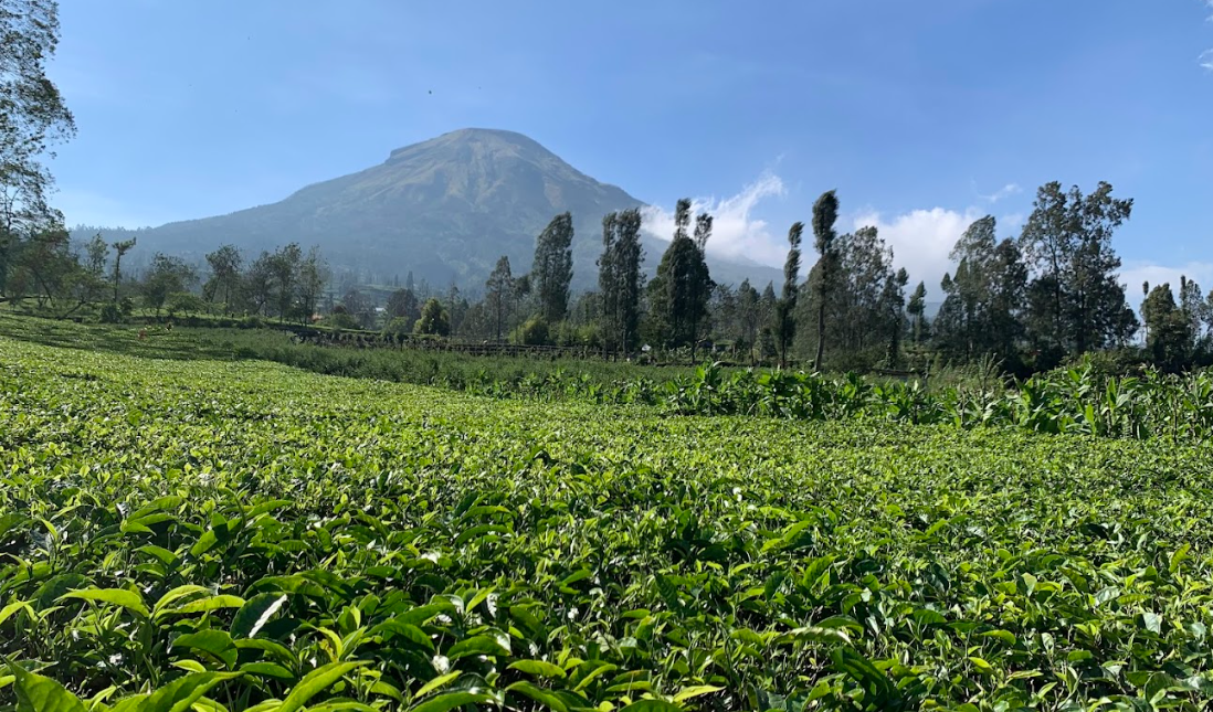 6 Destinasi Wisata Bebas Keramaian di Jawa Tengah untuk Libur Nataru 2025