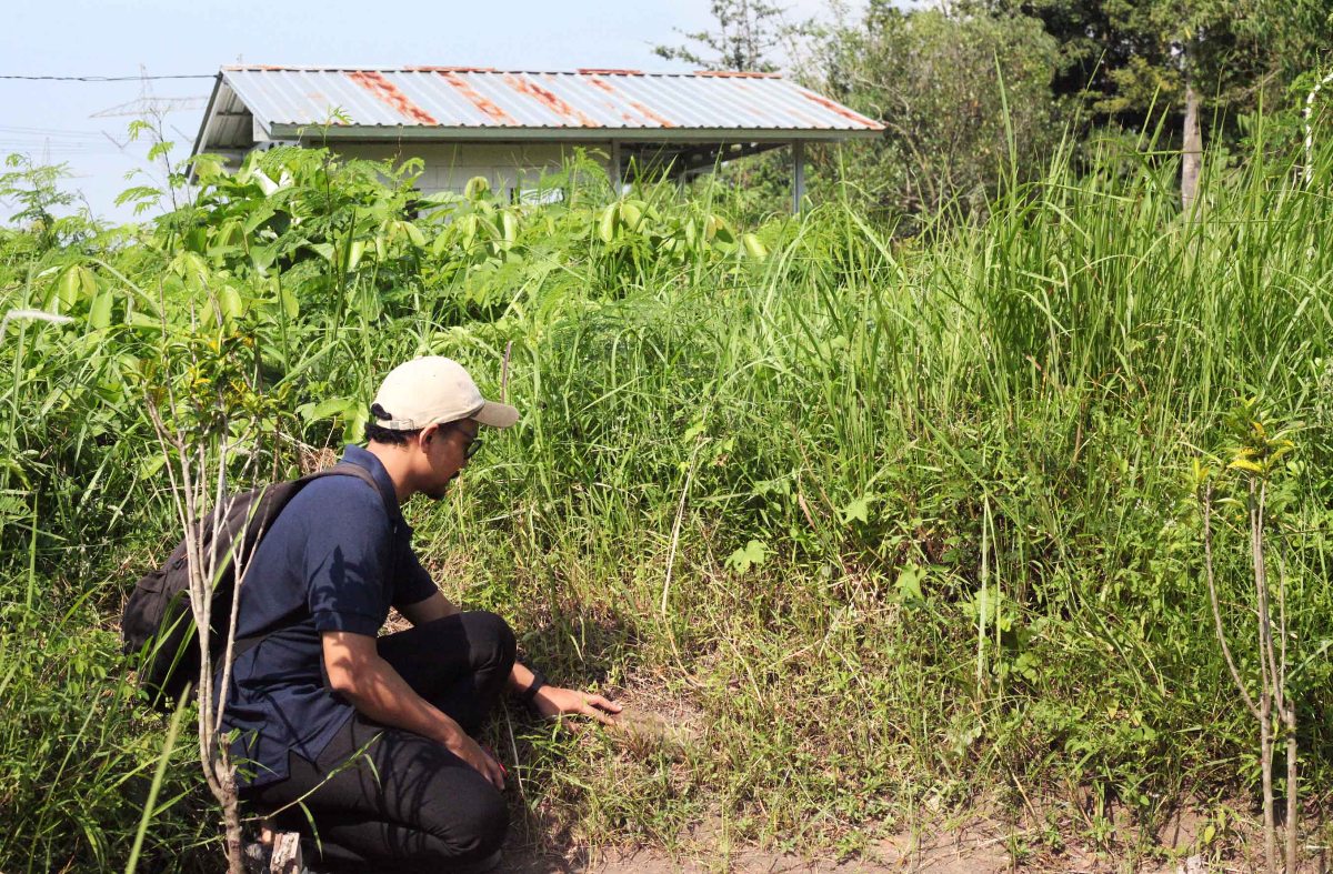 Pemuda Tegal Temukan Situs Kuno di Harjosari Kidul, Diduga Candi Pra Islam