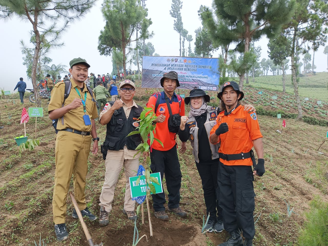 Siapkan 4.400 Bibit Pohon, BPBD Kabupaten Tegal Dukung Pengembalian Fungsi Hutan Lindung  