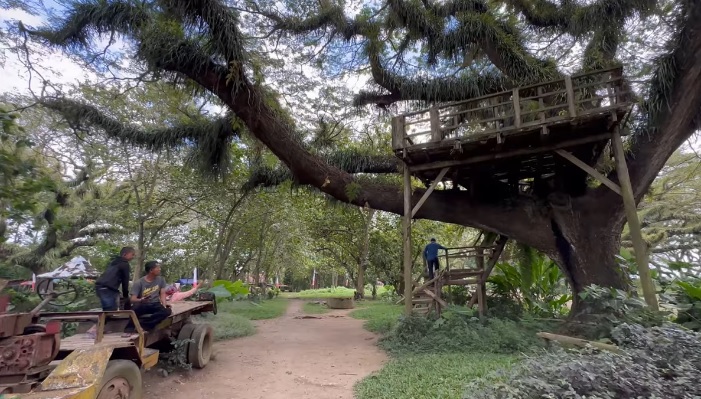 3 Tempat Wisata Rekreasi Murah di Banyuwangi, Ada yang Bak Negeri Dongeng